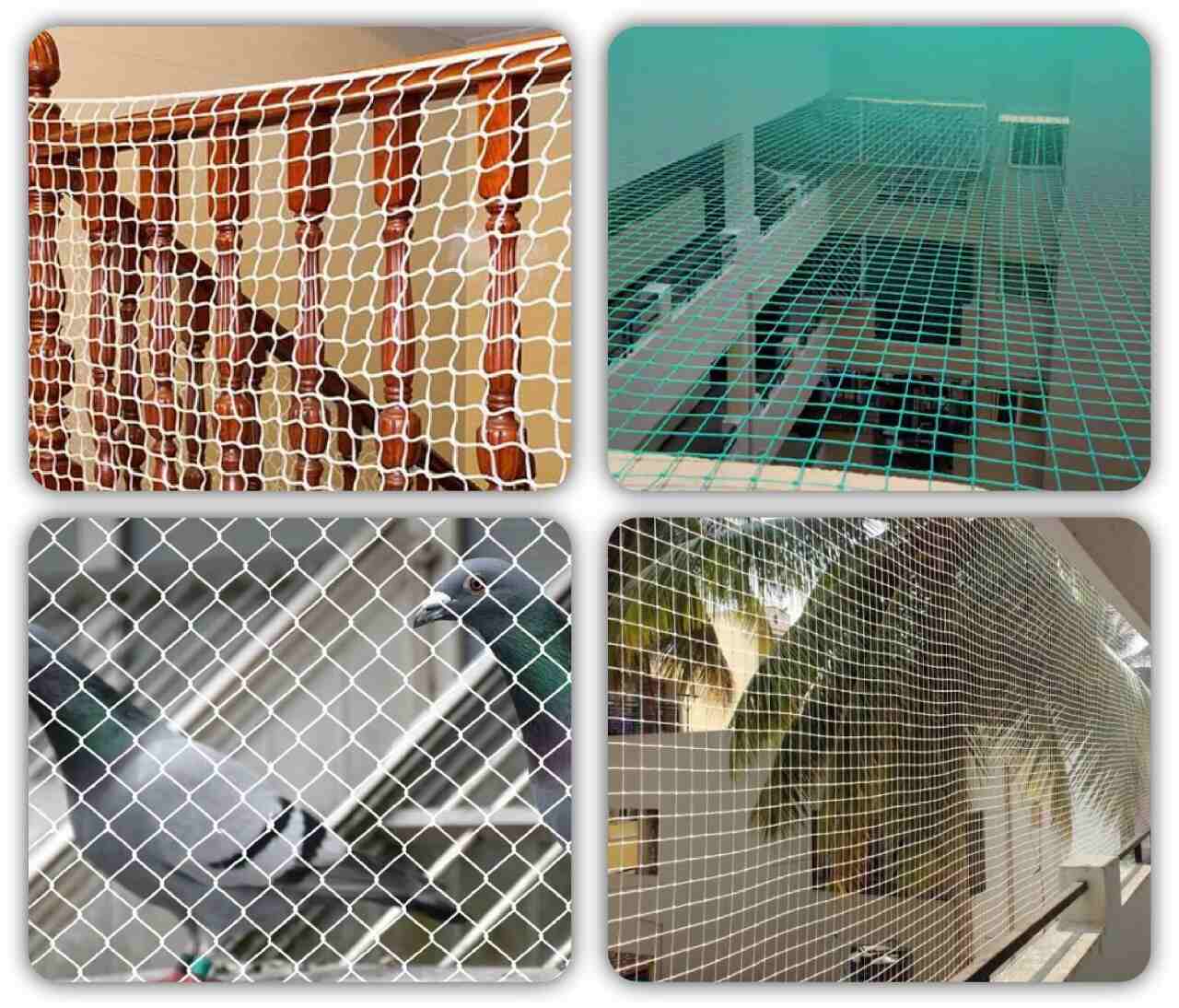 safety nets About