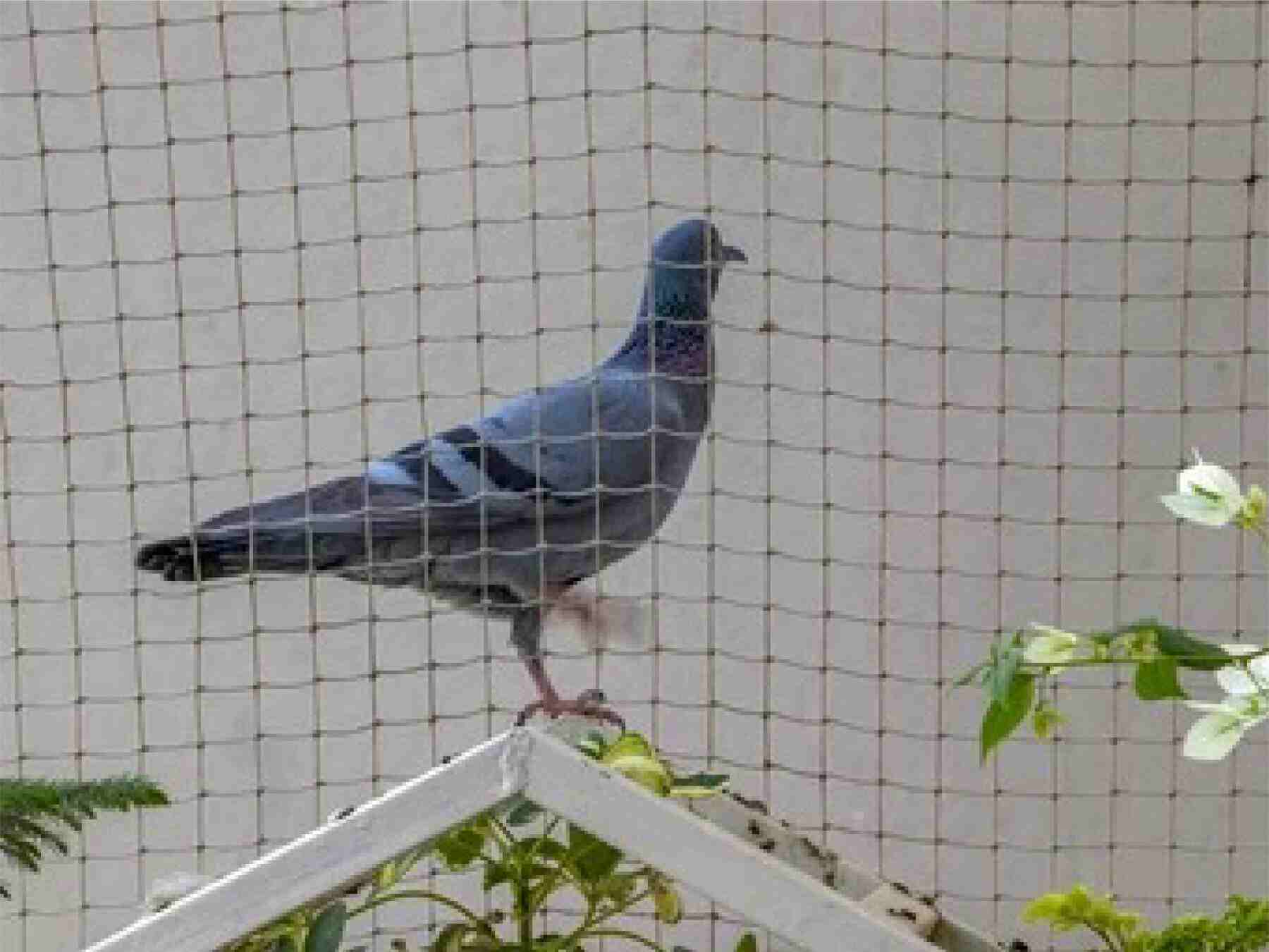 Amazon Safety Nets Manufacturer Bangalore Amazon Safety Nets Manufacturer Bangalore