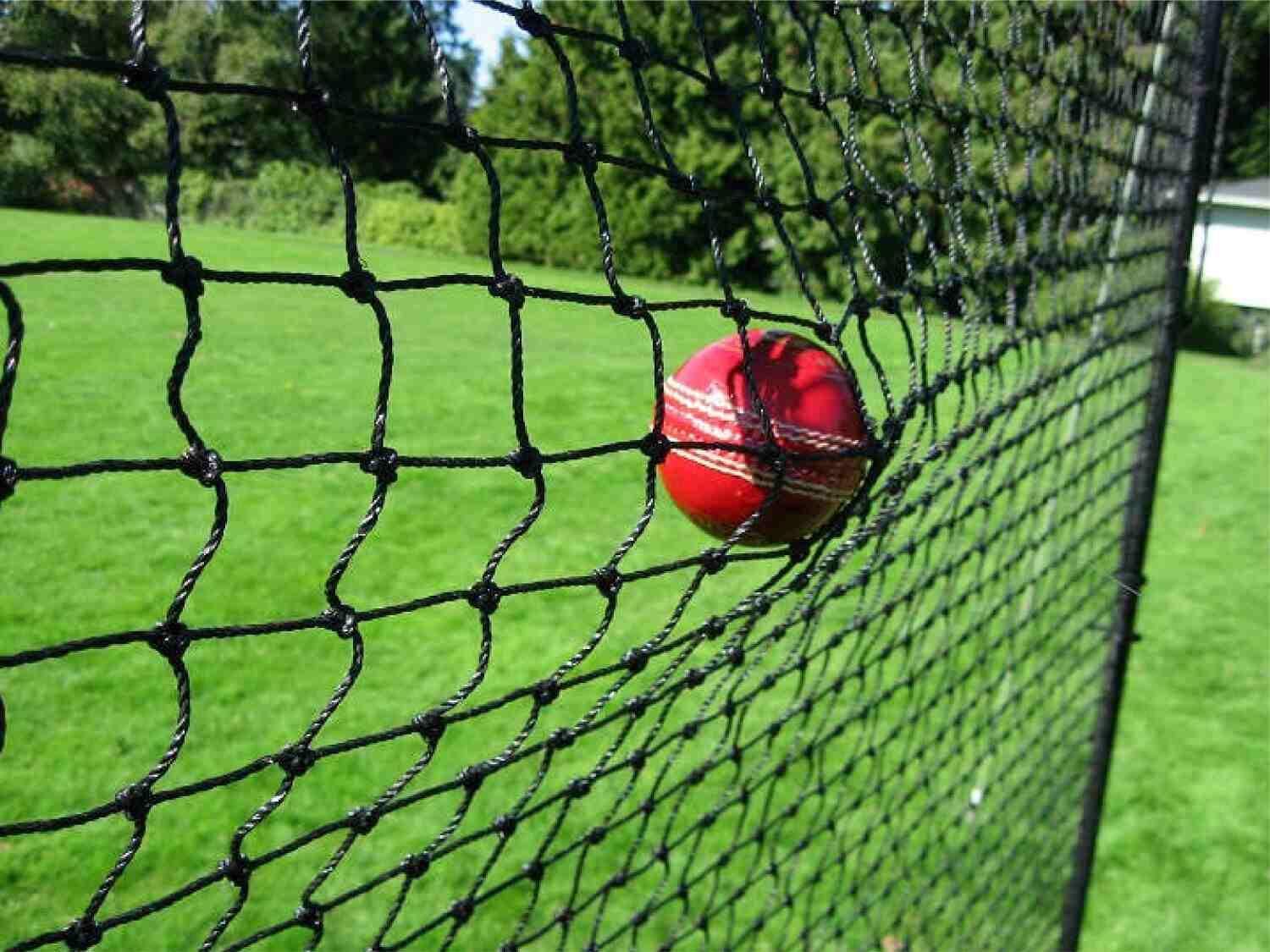 Amazon Safety Nets Manufacturer Bangalore Amazon Safety Nets Manufacturer Bangalore
