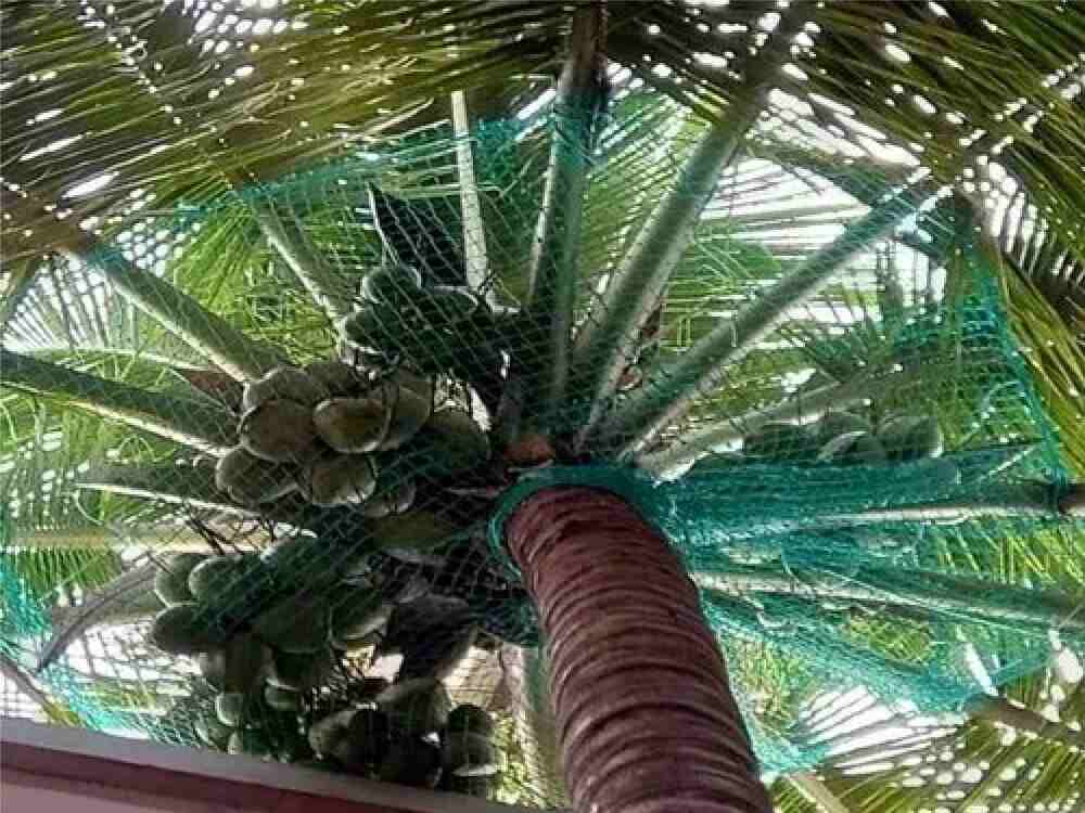Portable Accommodation Manufacturers Chennai Amazon Safety Nets Manufacturer Chennai