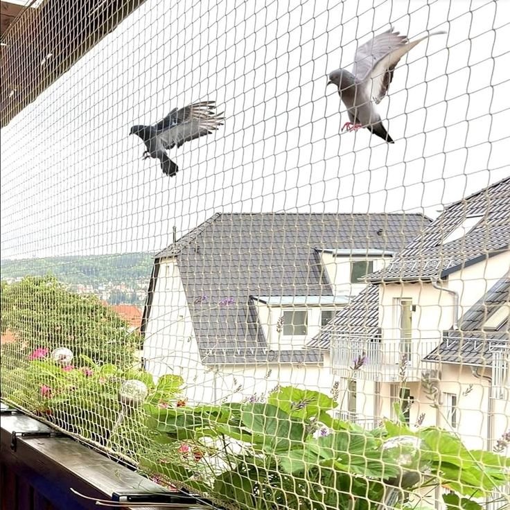 Ultimate Guide to Pigeon Safety Nets Installation: Protect Your Home the Smart Way in 2025